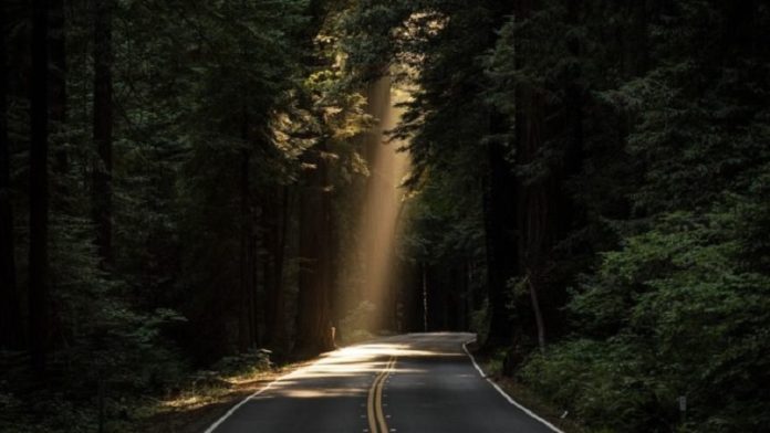 stanje-na-putevima:-dobri-uslovi-za-voznju stanje-na-putevima:-dobri-uslovi-za-voznju