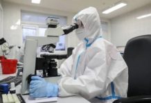 Brazilski soj se menja tako da smanji efikasnost vakcina brazilski-soj-se-menja-tako-da-smanji-efikasnost-vakcina