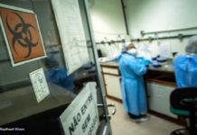 Soj koji bukvalno satire u Indiji stigao u Evropu soj-koji-bukvalno-satire-u-indiji-stigao-u-evropu