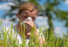 Ove godine i polen se ponašao drugačije – zašto su manje alergični ljudi na selu, nego u gradu ove-godine-i-polen-se-ponasao-drugacije-–-zasto-su-manje-alergicni-ljudi-na-selu,-nego-u-gradu