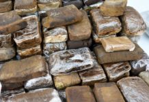 Gotovo 2,6 tona kanabisa zaplenjeno na jugozapadu Francuske gotovo-2,6-tona-kanabisa-zaplenjeno-na-jugozapadu-francuske