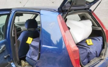 U Beogradu zaplenjeno 15 kg marihuane, uhapšene dve osobe u-beogradu-zaplenjeno-15-kg-marihuane,-uhapsene-dve-osobe