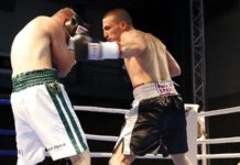 Gurdijeljac: Uželeo sam se boksa gurdijeljac:-uzeleo-sam-se-boksa