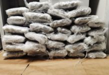 Albanija: Uhapšene tri osobe sa 577 kilograma kanabisa albanija:-uhapsene-tri-osobe-sa-577-kilograma-kanabisa