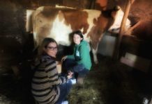 (VIDEO) Rtv Novi Pazar, porodici Šuman poklonila kravu. Do Kurban bajrama, trebala bi početi izgradnja nove kuće! (video)-rtv-novi-pazar,-porodici-suman-poklonila-kravu.-do-kurban-bajrama,-trebala-bi-poceti-izgradnja-nove-kuce!