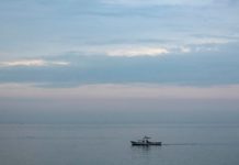 Ambasada Egipta u Srbiji: Nema ograničenja za pristup plažama ambasada-egipta-u-srbiji:-nema-ogranicenja-za-pristup-plazama