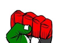 STOP izraelskoj brutalnosti i arapskoj nesolidarnosti prema palestincima stop-izraelskoj-brutalnosti-i-arapskoj-nesolidarnosti-prema-palestincima