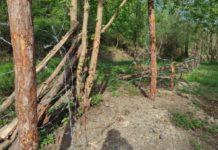 ZASTRAŠUJUĆE FOTOGRAFIJE! Otrovani psi i uništeno imanje u Izbicama zastrasujuce-fotografije!-otrovani-psi-i-unisteno-imanje-u-izbicama