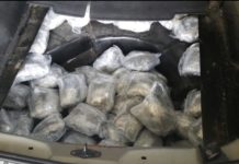 Uhapšen na prelazu sa Kosova sa 30 kilograma marihuane uhapsen-na-prelazu-sa-kosova-sa-30-kilograma-marihuane