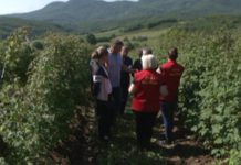 U selu Polokce održana radionica o azijskoj voćnoj mušici i zaštiti od nje u-selu-polokce-odrzana-radionica-o-azijskoj-vocnoj-musici-i-zastiti-od-nje