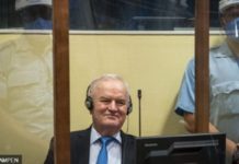 U kojim zatvorima bi Mladić mogao služiti kaznu? u-kojim-zatvorima-bi-mladic-mogao-sluziti-kaznu?