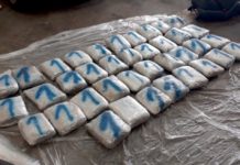 Policija u Prijepolju zaplenila veliku količinu narkotika policija-u-prijepolju-zaplenila-veliku-kolicinu-narkotika