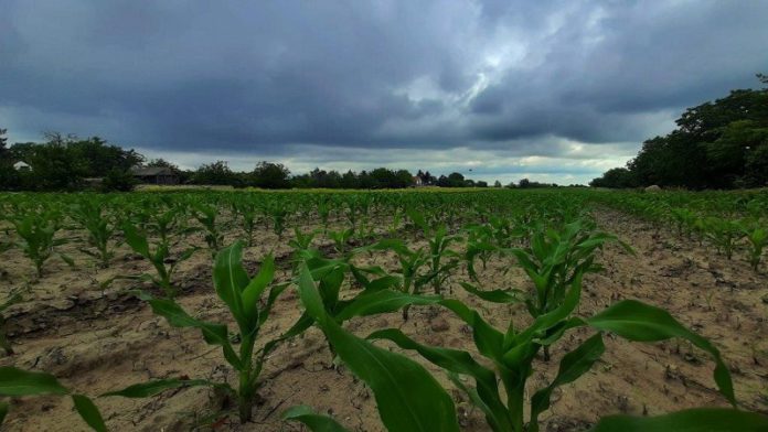 prolazno-naoblacenje-s-kisom,-pad-temperature prolazno-naoblacenje-s-kisom,-pad-temperature