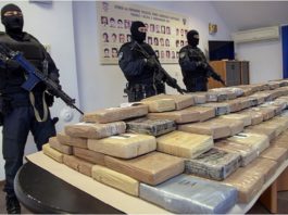 crnogorskom-klanu-zaplenili-800-kilograma-kokaina