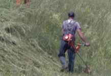 Gradska čistoća pokrenula akciju čišćenja oko spomenika gradska-cistoca-pokrenula-akciju-ciscenja-oko-spomenika