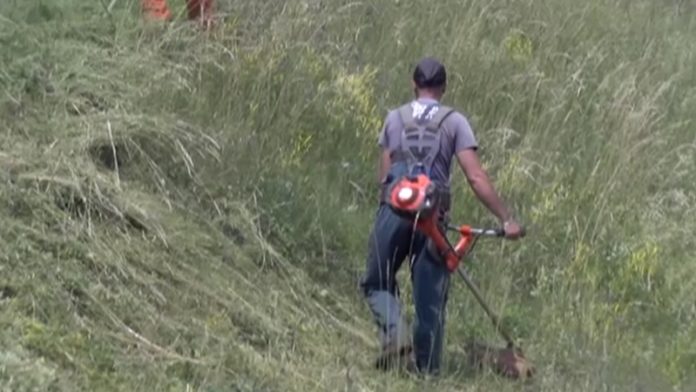 gradska-cistoca-pokrenula-akciju-ciscenja-oko-spomenika