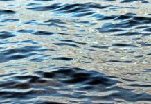 Muškarac se utopio na Palićkom jezeru muskarac-se-utopio-na-palickom-jezeru