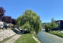 Novi Pazar u fazi planiranja izgradnje postrojenja za preradu otpadnih voda novi-pazar-u-fazi-planiranja-izgradnje-postrojenja-za-preradu-otpadnih-voda