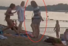 JEZIV VIDEO SA ADE CIGANLIJE: Muškarac juri devojku pored stotina posmatrača i KRVNIČKI JE UDARA U GLAVU jeziv-video-sa-ade-ciganlije:-muskarac-juri-devojku-pored-stotina-posmatraca-i-krvnicki-je-udara-u-glavu