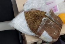 Zaplenjeno 17 kilograma marihuane na autobuskoj stanici u Raški zaplenjeno-17-kilograma-marihuane-na-autobuskoj-stanici-u-raski