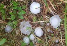 Grad veličine oraha uništio voće u okolini Novog Pazara grad-velicine-oraha-unistio-voce-u-okolini-novog-pazara