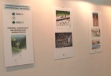 “Mini hidroelektrane-maxi razaranje” “mini-hidroelektrane-maxi-razaranje”