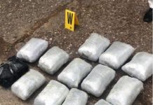 POTERA PLANINSKIM POTEVIMA I PUCNJAVA SA POLICIJOM! Na Kosovu zaplenjeno 14 kg droge potera-planinskim-potevima-i-pucnjava-sa-policijom!-na-kosovu-zaplenjeno-14-kg-droge