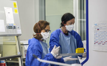 Delta varijanta korona vrusa dominantna širom sveta delta-varijanta-korona-vrusa-dominantna-sirom-sveta