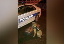 Na Jarinju zaplenjeno oko sedam kilograma kokaina na-jarinju-zaplenjeno-oko-sedam-kilograma-kokaina