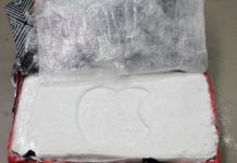 U albanskom kamionu u Italiji otkriven kilogram kokaina u-albanskom-kamionu-u-italiji-otkriven-kilogram-kokaina