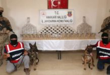 Turska: Zaplenjeno više od 714 kilograma heroina turska:-zaplenjeno-vise-od-714-kilograma-heroina