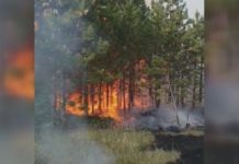 GORI 150 HEKTARA ŠUME KOD NOVE VAROŠI! Angažovani helikopteri MUP-a gori-150-hektara-sume-kod-nove-varosi!-angazovani-helikopteri-mup-a