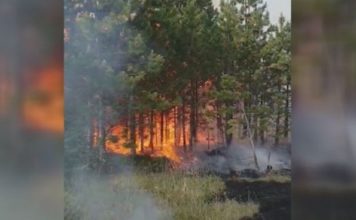 GORI 150 HEKTARA ŠUME KOD NOVE VAROŠI! Angažovani helikopteri MUP-a gori-150-hektara-sume-kod-nove-varosi!-angazovani-helikopteri-mup-a