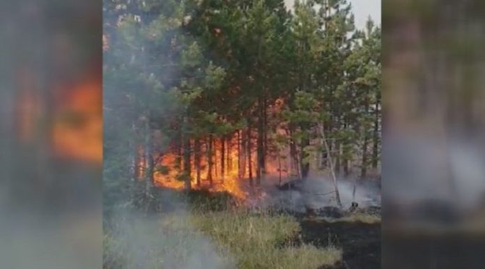 gori-150-hektara-sume-kod-nove-varosi!-angazovani-helikopteri-mup-a gori-150-hektara-sume-kod-nove-varosi!-angazovani-helikopteri-mup-a