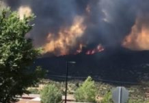 Istovremeno buknuli šumski požari u gotovo svim letovalištima istovremeno-buknuli-sumski-pozari-u-gotovo-svim-letovalistima