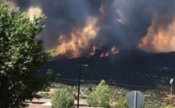 Istovremeno buknuli šumski požari u gotovo svim letovalištima istovremeno-buknuli-sumski-pozari-u-gotovo-svim-letovalistima