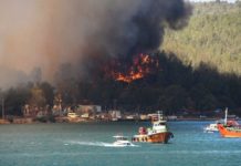 EVAKUISANI TURISTI! U požaru na jugu Turske stradalo najmanje četvoro evakuisani-turisti!-u-pozaru-na-jugu-turske-stradalo-najmanje-cetvoro