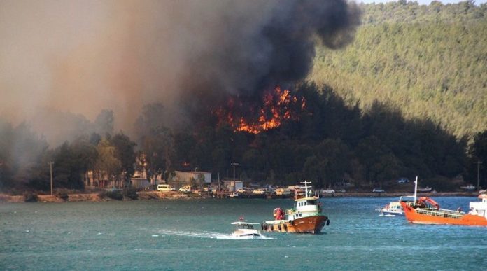 evakuisani-turisti!-u-pozaru-na-jugu-turske-stradalo-najmanje-cetvoro evakuisani-turisti!-u-pozaru-na-jugu-turske-stradalo-najmanje-cetvoro