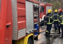 VELIKI POŽAR NA TARI! Gori površina veća od 100 hektara veliki-pozar-na-tari!-gori-povrsina-veca-od-100-hektara