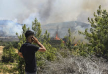 Ambasador Marković: Srpski turisti dobro, niko nije ugrožen ambasador-markovic:-srpski-turisti-dobro,-niko-nije-ugrozen