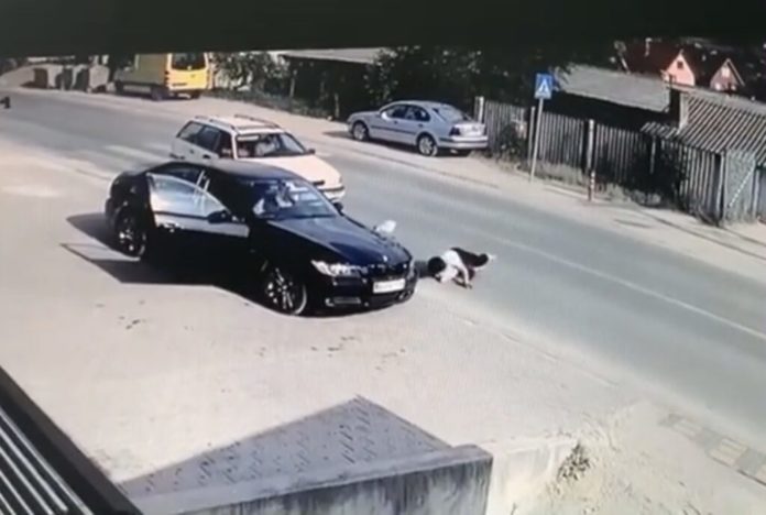 uznemirujuci-video!-automobil-udario-zenu-na-pesackom-prelazu