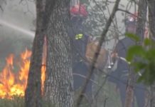 Gori na sve strane, požari pustoše region i Evropu gori-na-sve-strane,-pozari-pustose-region-i-evropu