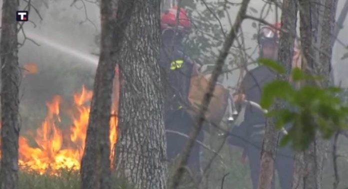 gori-na-sve-strane,-pozari-pustose-region-i-evropu