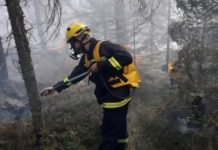 „Od 25. jula u Srbiji više od 850 požara na otvorenom“ „od-25.-jula-u-srbiji-vise-od-850-pozara-na-otvorenom“