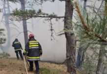 Požar zahvatio 20 hektara šume u okolini Nove Varoši pozar-zahvatio-20-hektara-sume-u-okolini-nove-varosi