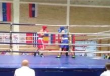 Mavrić bez finala na Vojvođanskoj zlatnoj rukavici mavric-bez-finala-na-vojvodjanskoj-zlatnoj-rukavici