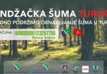 Sandžačka šuma Turskoj – poklon narodu Turske od naroda iz Sandžaka sandzacka-suma-turskoj-–-poklon-narodu-turske-od-naroda-iz-sandzaka