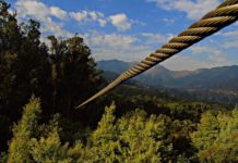 UŽAS NA ĐURĐEVIĆA TARI! Nastradao muškarac nakon pada sa ziplajna uzas-na-djurdjevica-tari!-nastradao-muskarac-nakon-pada-sa-ziplajna