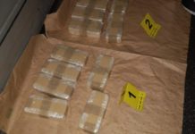 Uhapsena dva Albanca! Zaplenjeno 40 kilograma narkotika uhapsena-dva-albanca!-zaplenjeno-40-kilograma-narkotika