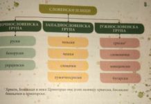 BNV: Politika negiranja bosanskog jezika u udžbeniku gramatika srpskog jezika bnv:-politika-negiranja-bosanskog-jezika-u-udzbeniku-gramatika-srpskog-jezika